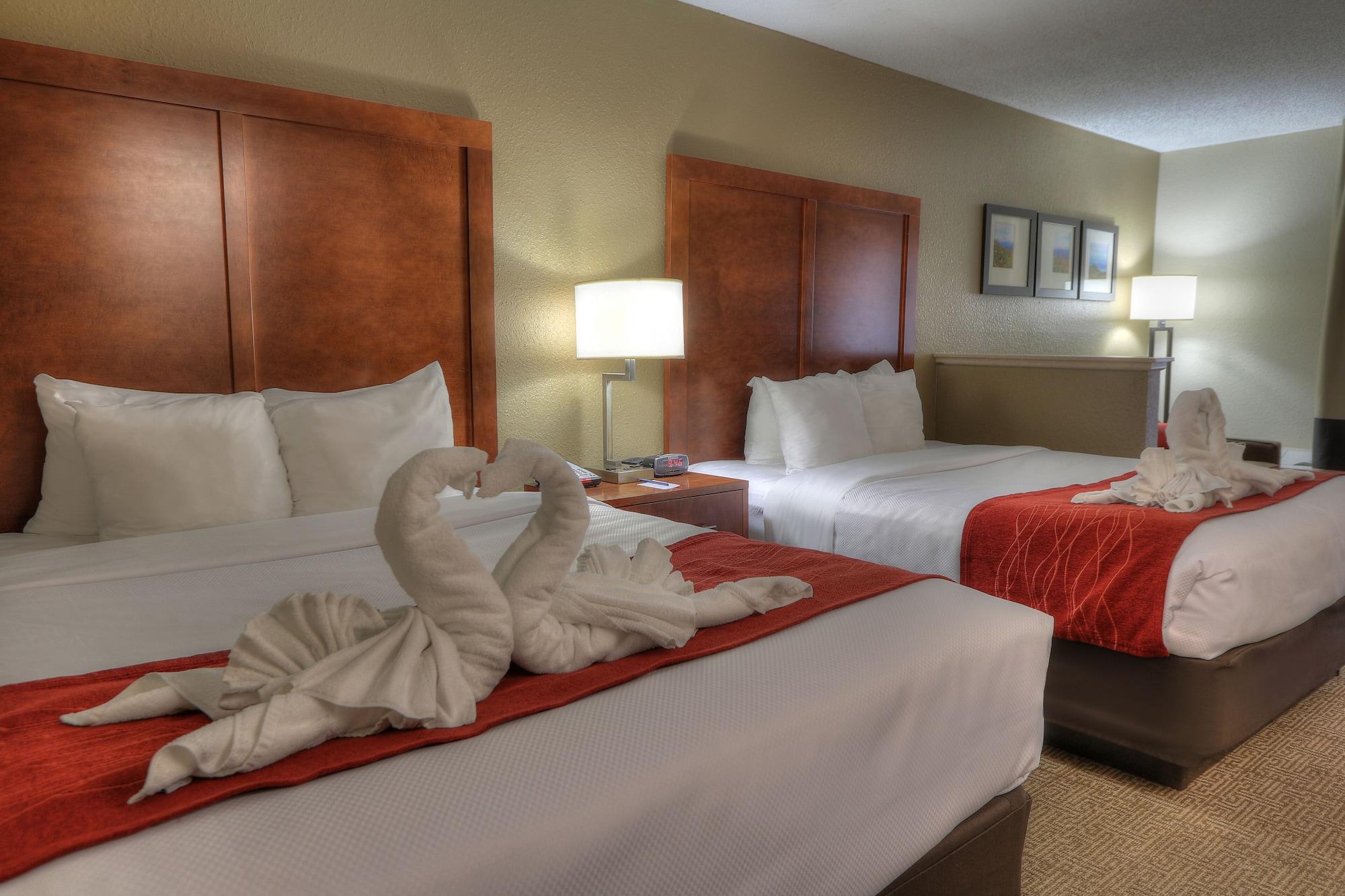 פיג'ן פורג' Comfort Inn & Suites At Dollywood Lane מראה חיצוני תמונה