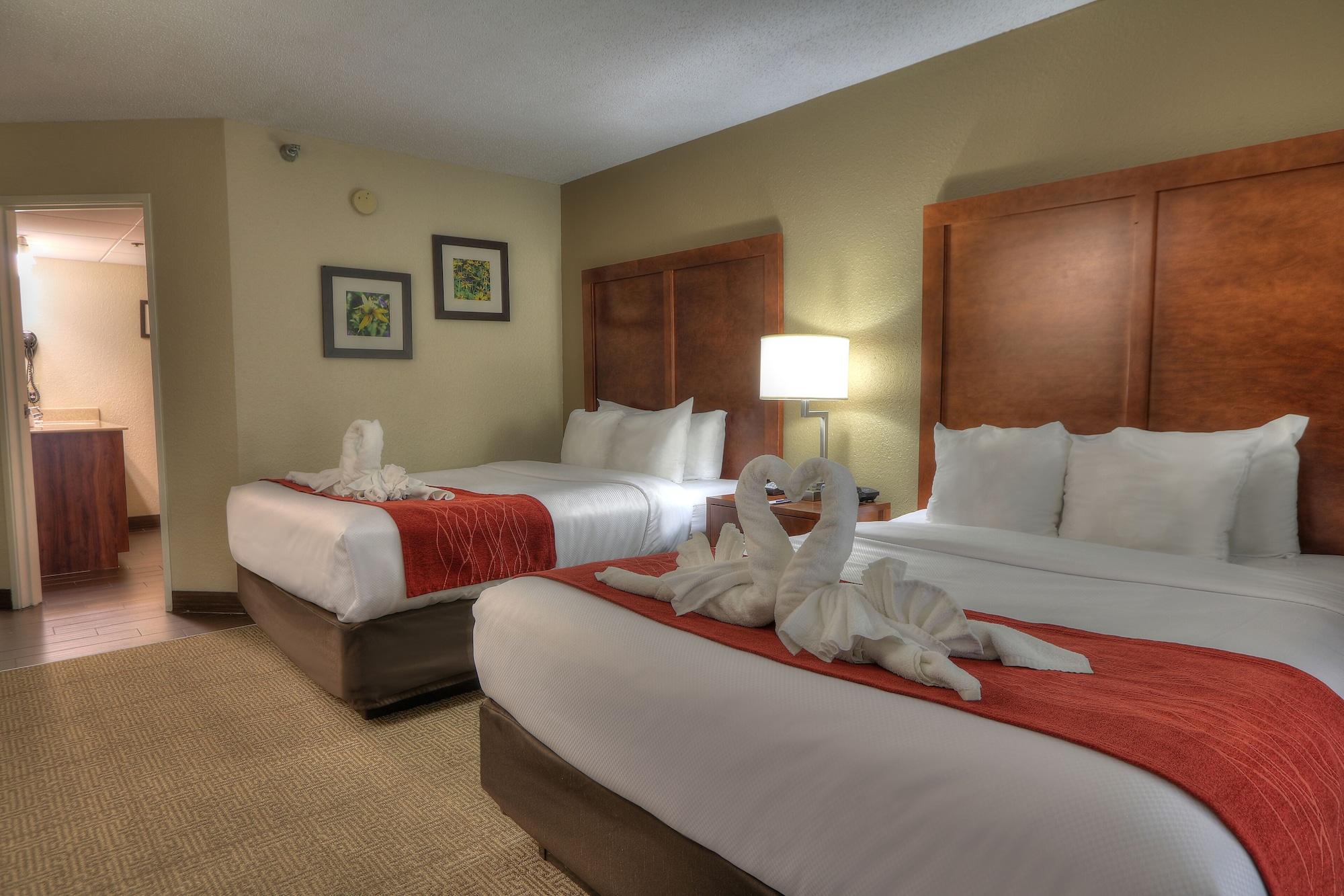 פיג'ן פורג' Comfort Inn & Suites At Dollywood Lane מראה חיצוני תמונה
