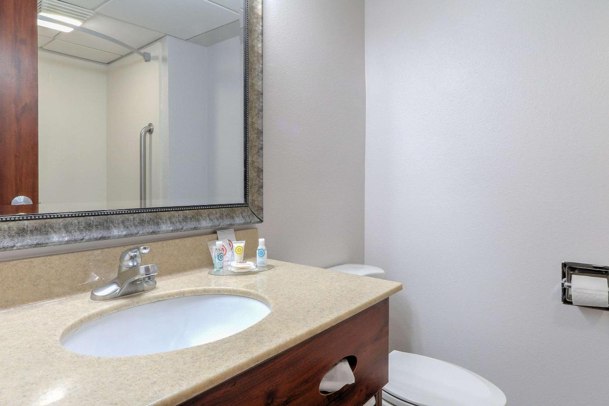 פיג'ן פורג' Comfort Inn & Suites At Dollywood Lane מראה חיצוני תמונה