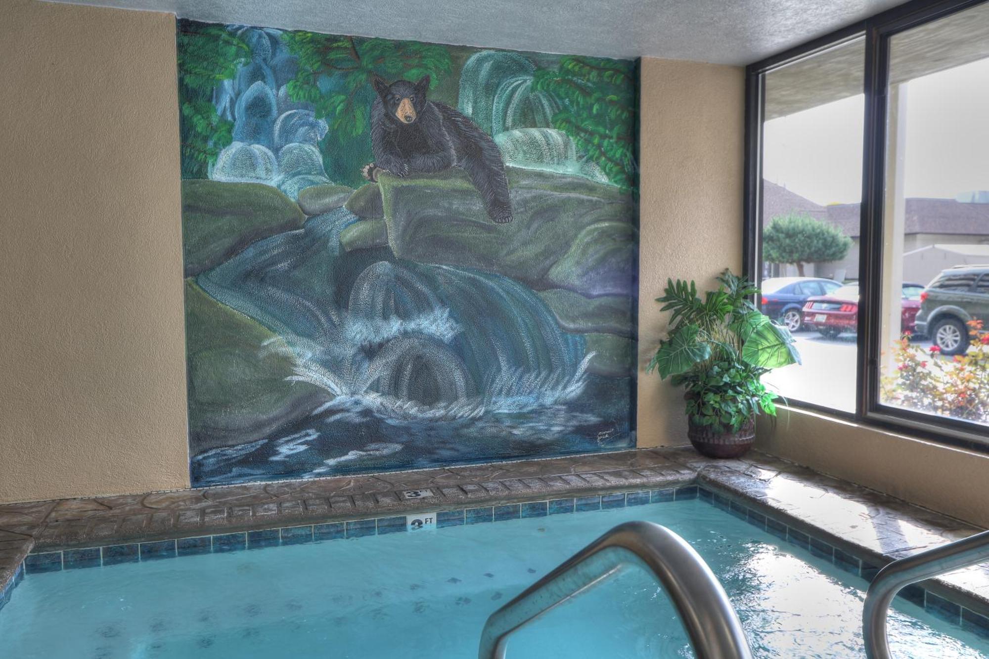פיג'ן פורג' Comfort Inn & Suites At Dollywood Lane מראה חיצוני תמונה